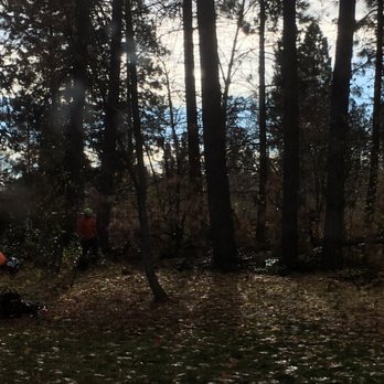 Heindl Tree Care - Pine removal - Tree Services Near Me - Spokane, Washington