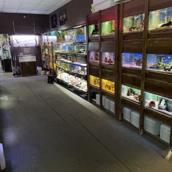 The Fish Place - Pet Stores Near Me - Fort Worth, Texas The Fish Place - Pet Stores Near Me - Fort Worth, Texas