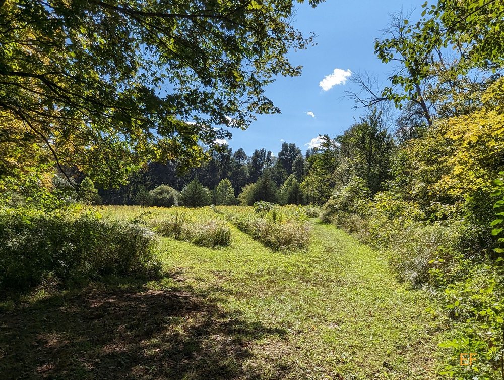 STANFORD WILDLIFE PRESERVE Updated June 2024 3141 Salt Point