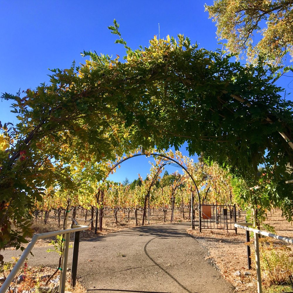 David Girard Vineyards - Follow these arcs to the waterfall - Venues & Event Spaces Near Me - Placerville, California
