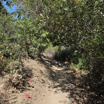 Rose Canyon Open Space Park - Parks Near Me