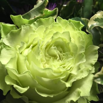 Donna's Custom Flowers - Florists Near Me - Mundelein, Illinois