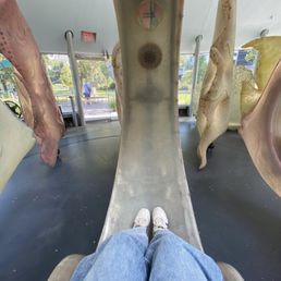 Carousel