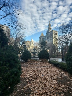 City Hall Park Greenmarket by null