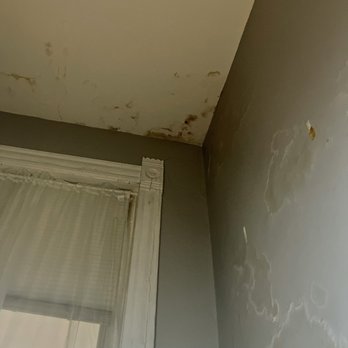 Root Property Group - Current leak - Property Management Near Me - Chicago, Illinois