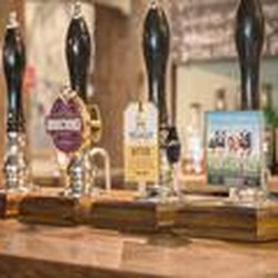 The Standard Inn