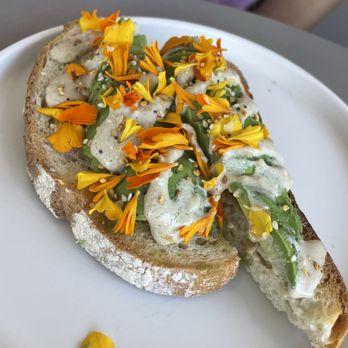 Communal Coffee - Tahini Avocado toast - yum! - Cafes Near Me - Oceanside, California Communal Coffee - Tahini Avocado toast - yum! - Cafes Near Me - Oceanside, California