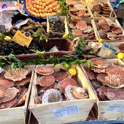 Marché Maubert