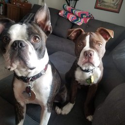 Our little fellas! Our little fellas!