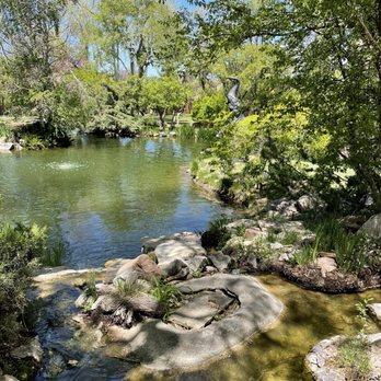 Nedra Matteucci Galleries - The garden behind the gallery - A garden with a pond, surrounded by rocks, trees, and greenery, featuring a metal heron sculpture among the trees. - Art Galleries Near Me - Santa Fe, New Mexico