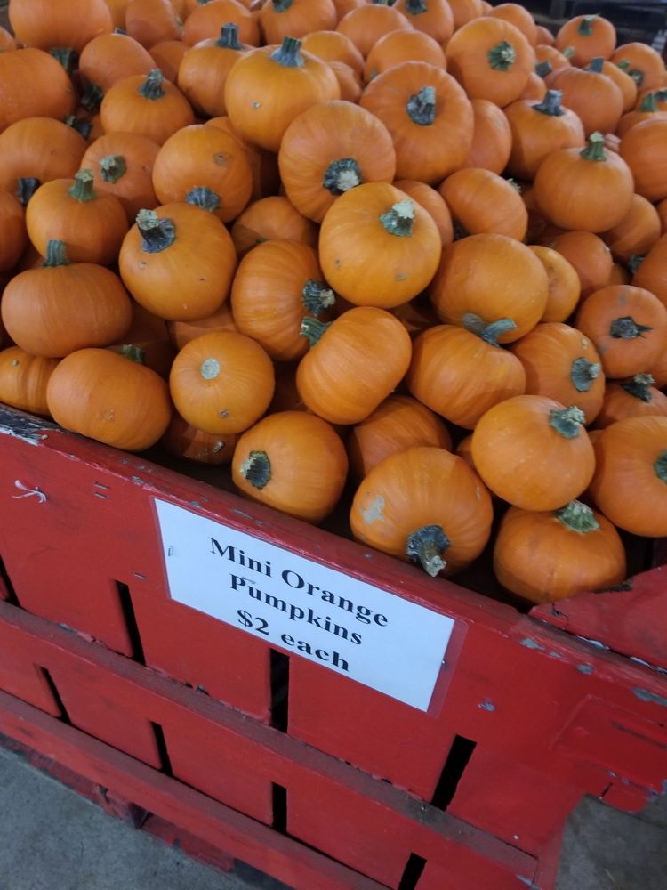 COOLEY BROS PEACH SHED - Updated January 2025 - 3097 Highway 11 W ...