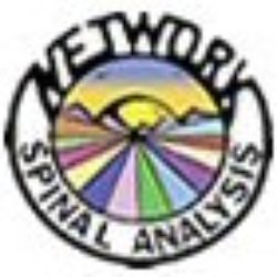 Synergy Chiropractic - Network Spinal Analysis...Gentle Care for Children and Adults