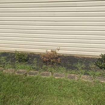 JT Lawn Care - Dead paid for plant - Landscaping Near Me JT Lawn Care - Dead paid for plant - Landscaping Near Me