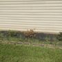 Photo of JT Lawn Care