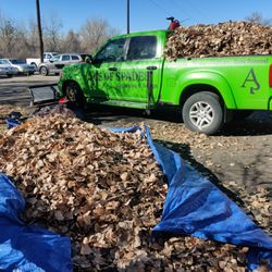 Ace of Spades Gardening & Design - Fall cleanups.