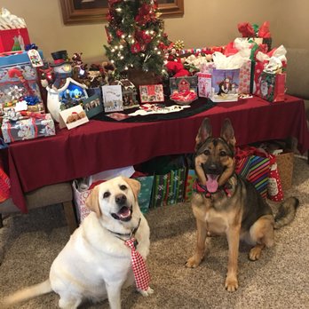 Doggy Land Grooming - Pet Groomers Near Me - Downey, California Doggy Land Grooming - Pet Groomers Near Me - Downey, California