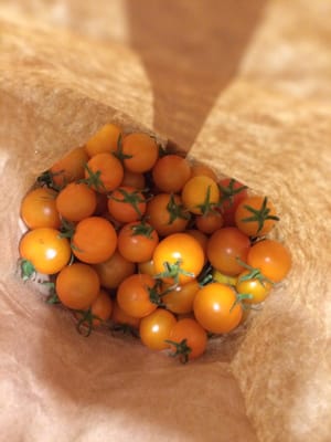 Placergrown Farmers' Market, Fountains at Roseville by null