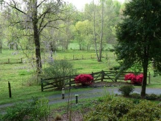 Rhonda Ferrell, LPC Healthy Solutions Counseling - grief counselor in Winston Salem, NC