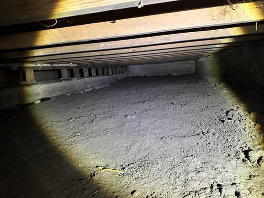 Crawl space encapsulation - This job was done in Alamo ca because to stop contamination , moisture and mold. We also did replace the old insulation with new r-19 and disinfected the whole perimeter!