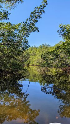 J.N. "Ding" Darling National Wildlife Refuge Visitor and Education Center by null