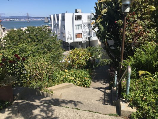 Vallejo Steps by null