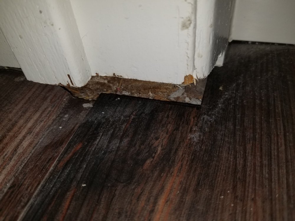 Slide of Pillar Resources