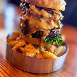 MacGregor Draft House
