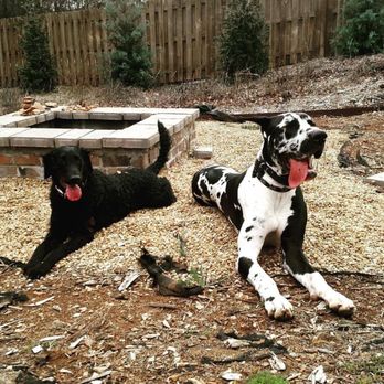 Life Dog Training - Pet Training Near Me Life Dog Training - Pet Training Near Me