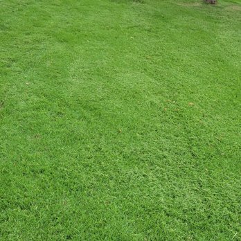 Pat’s Yard Care - a freshly mowed lawn - Lawn Services Near Me Pat’s Yard Care - a freshly mowed lawn - Lawn Services Near Me