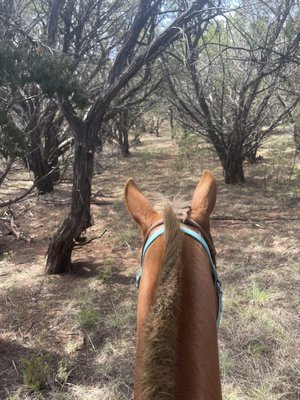 Abilene State Park by null