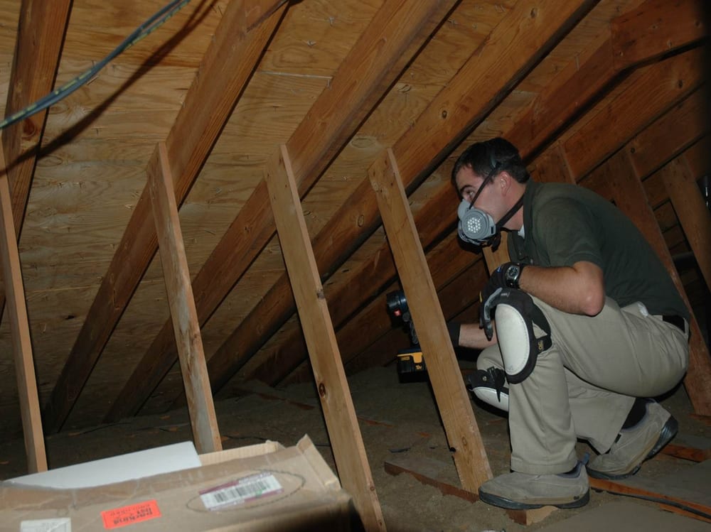 SCRAM! WILDLIFE CONTROL Updated October 2024 6245 Cook Rd, Powell