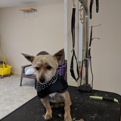 Paw by Paw Grooming Salon