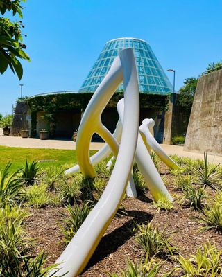 San Antonio Botanical Garden by null