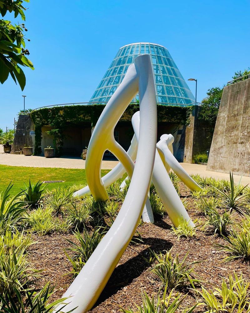 SAN ANTONIO BOTANICAL GARDEN 1751 Photos & 249 Reviews 555 Funston