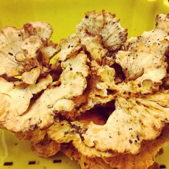 Nichols Farm & Orchard - Chicken of the woods - Farmers Market Near Me - Marengo, Illinois Nichols Farm & Orchard - Chicken of the woods - Farmers Market Near Me - Marengo, Illinois