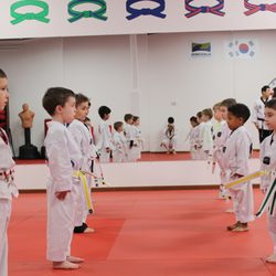 Master Kim's World Class Tae Kwon Do