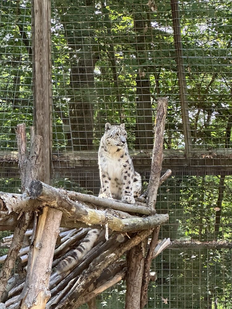 Social spots from Ross Park Zoo