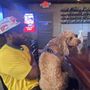 Underdogs Pub