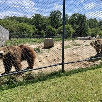 Space Farms - Bears - Zoos Near Me - Sussex, New Jersey