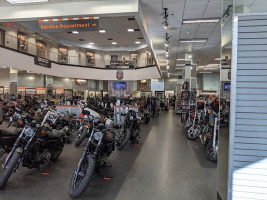 Tobacco Road Harley-Davidson, 1126 S Saunders St, Raleigh, NC 27603, US