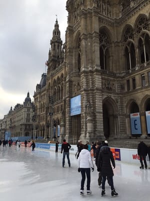 Vienna City Hall by null