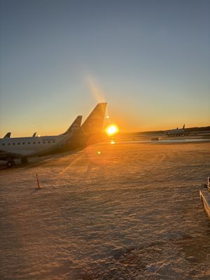 Ted Stevens Anchorage International Airport by null