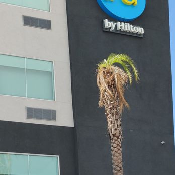 TRU BY HILTON CORPUS CHRISTI SOUTH PADRE ISLAND DR - Updated June 2026 ...