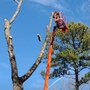 Photo of Treeworks