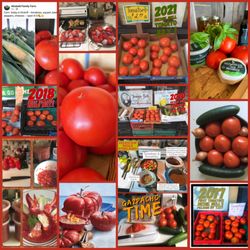Village Wine & Liquor - Delicious Tomatoes, corn and other produce from the famaily farm Upstate NY