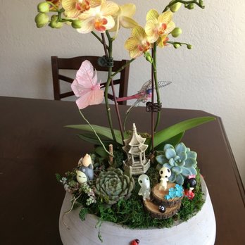 Bunkado - I find lots of cute items to add to plant arrangements here !! - Home Decor Near Me - Los Angeles, California