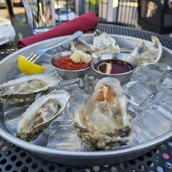 Dogwood Tavern - Fresh oysters