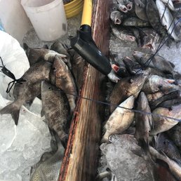 Fish box Fish box