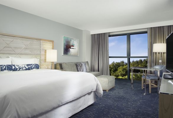 Walt Disney World Dolphin Resort by null
