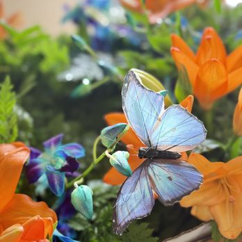 Ka'ano'ipua Florals - Sympathy Flowers - Florists Near Me - Kapaʻa, Hawaii Ka'ano'ipua Florals - Sympathy Flowers - Florists Near Me - Kapaʻa, Hawaii